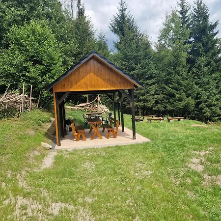 Apartament U Lesa