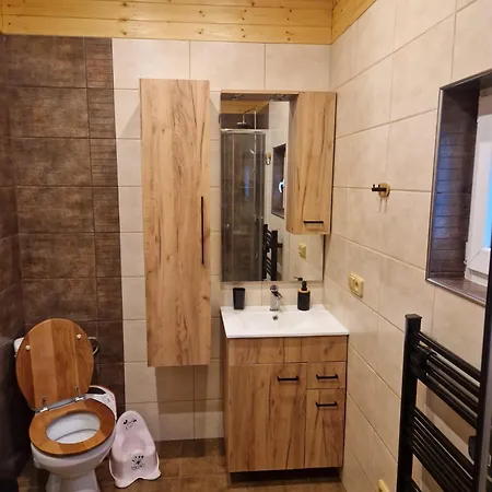 Apartament U Lesa *